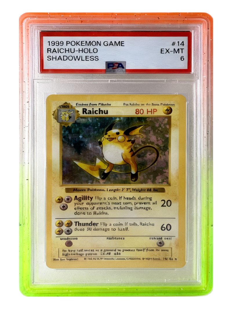 PSA Slab Guard — Coral Meadow