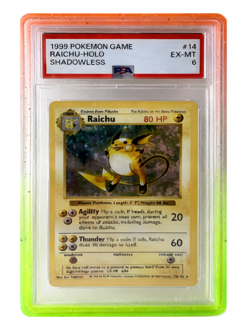 PSA Slab Guard — Coral Meadow